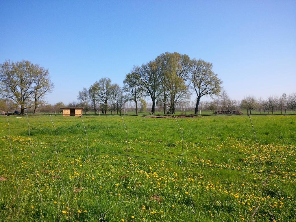 Ferienhof Idyll Am Kleinen Fliess Burg  Εξωτερικό φωτογραφία